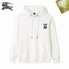 Picture of Burberry Hoodies _SKUBurberryM-3XL25tn511718